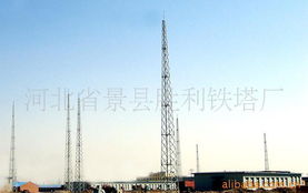 河北省景县胜利铁塔厂 高压电器产品列表